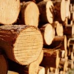 076040bf6a8d95a3aa63c66089 4f3d0577